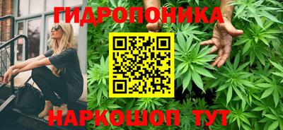 прущий лед Тара