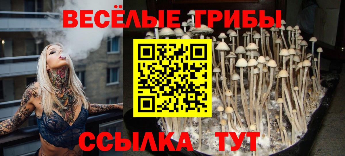 Галлюциногенные грибы MAGIC MUSHROOMS Туапсе
