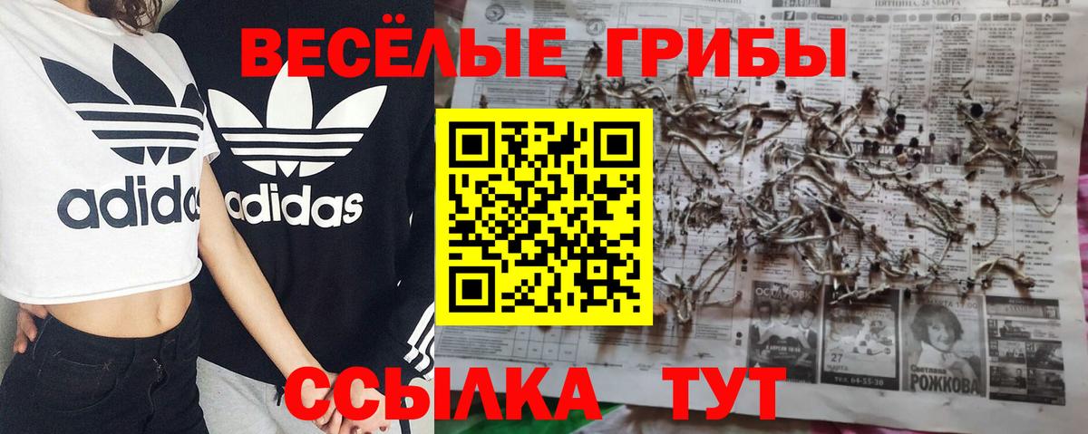 Псилоцибиновые грибы Magic Shrooms  Псилоцибиновые грибы мухоморы  Туапсе  Вход с VPN 